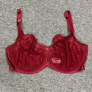 Whimsy Embroidered Red Underwire Bra 40DD Lace Sheer Supportive